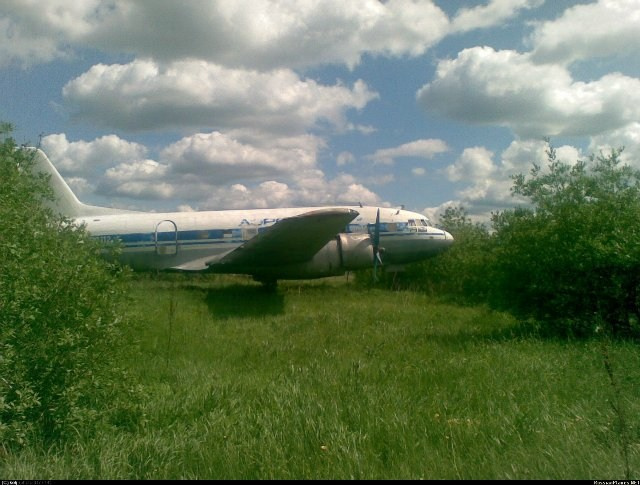 Ил-14 (Пермь, Фролы). Фотоальбом показывающий увлекательный мир авиации и мир медведей Андрея Иванова