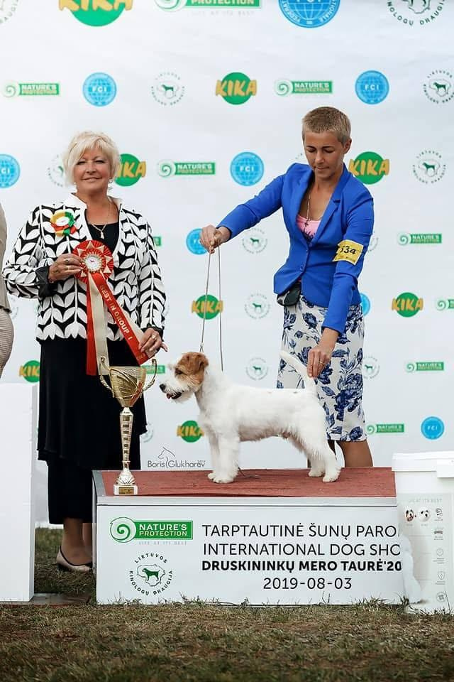 Lovely-Orange Mascarpone. Lovely-Orange питомник джек рассел терьеров