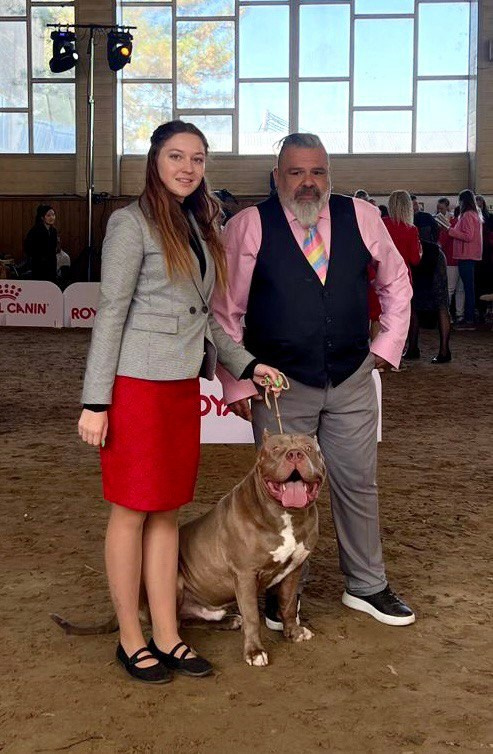 ambully XL puppies for sale	in Strasbourg, sale of ambuli XL	in Strasbourg, American Bully Merle XL Puppy	in Strasbourg, American Bully Merle XL Puppy	in Strasbourg, American Bully puppy marble color XL	in Strasbourg, American Bully puppy with different eyes XL	in Strasbourg, American bully puppy multicolored XL	in Strasbourg, American bully puppy marble color XL	in Strasbourg, 