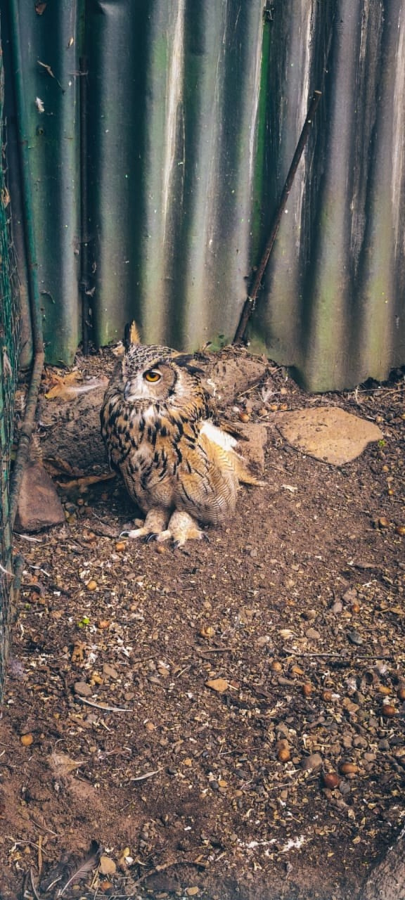 Владивосток 2 | 25-28.09.2025. Галерея Фантим