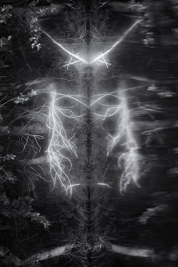 Phantoms. Aleksandr Leshchenok & Marina Ogneva|Interdisciplinary artists from Siberia