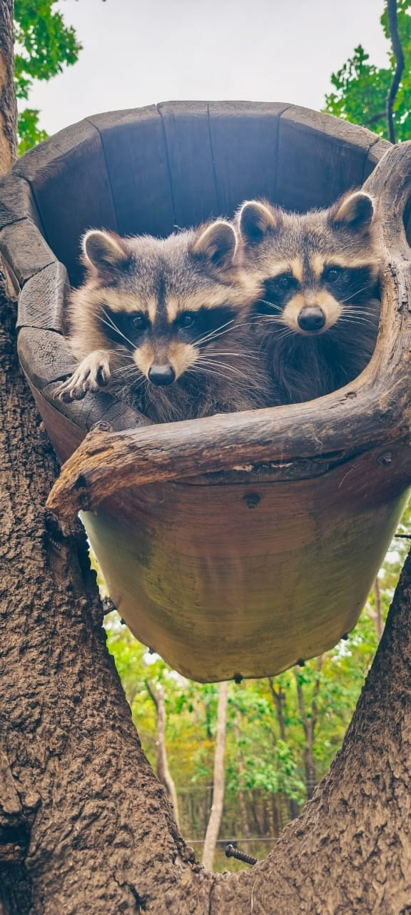 Владивосток 2 | 25-28.09.2025. Галерея Фантим