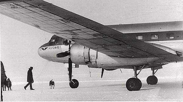 Исторические фотографии. Фотоальбом показывающий увлекательный мир авиации и мир медведей Андрея Иванова