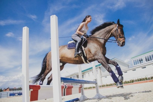 Фотосессия с лошадью, с лошадьми, лошади