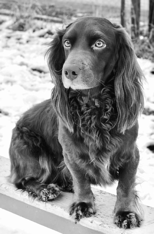 Хвостики. Портретный фотограф город Уфа