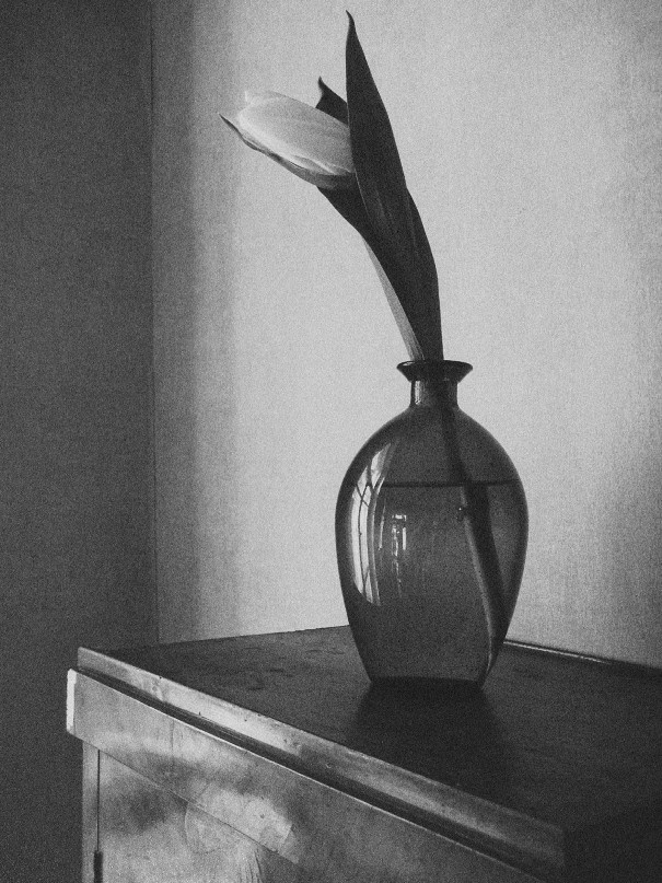 Иллюстрации повседневности. Brjankin.com