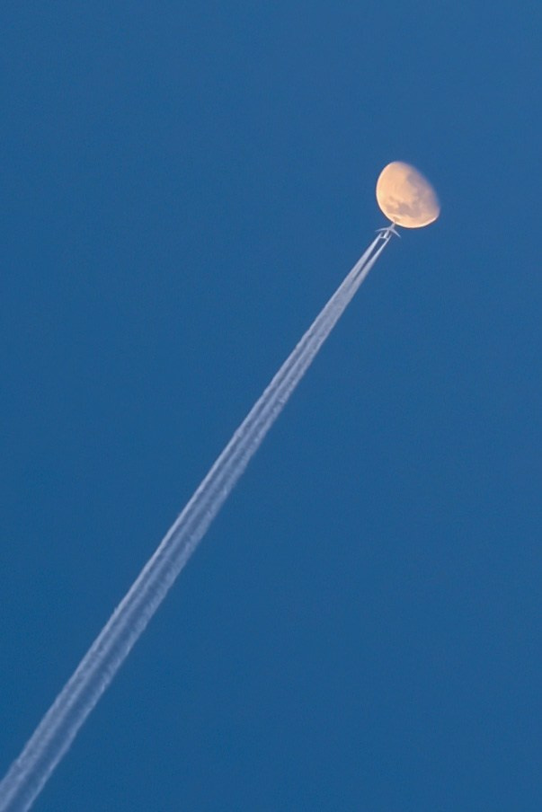 Стрит-фотография. Фотограф I Санкт-Петербург