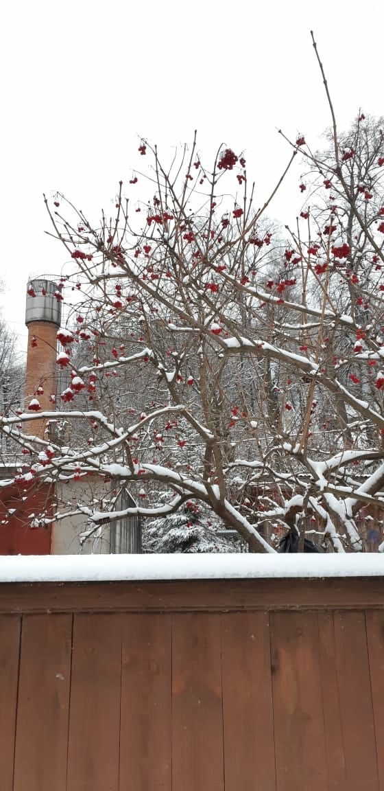 Иваново и Плёс | 21-22.11.2020. Галерея Фантим