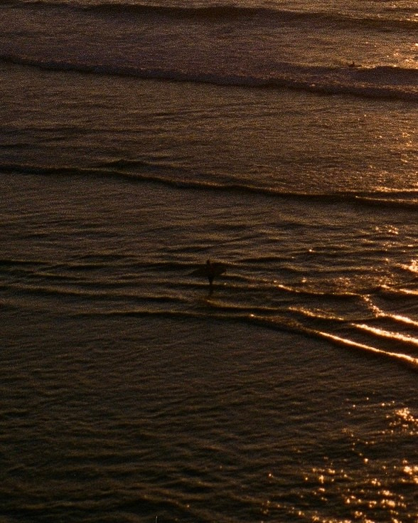 SURFING. Carolinetru