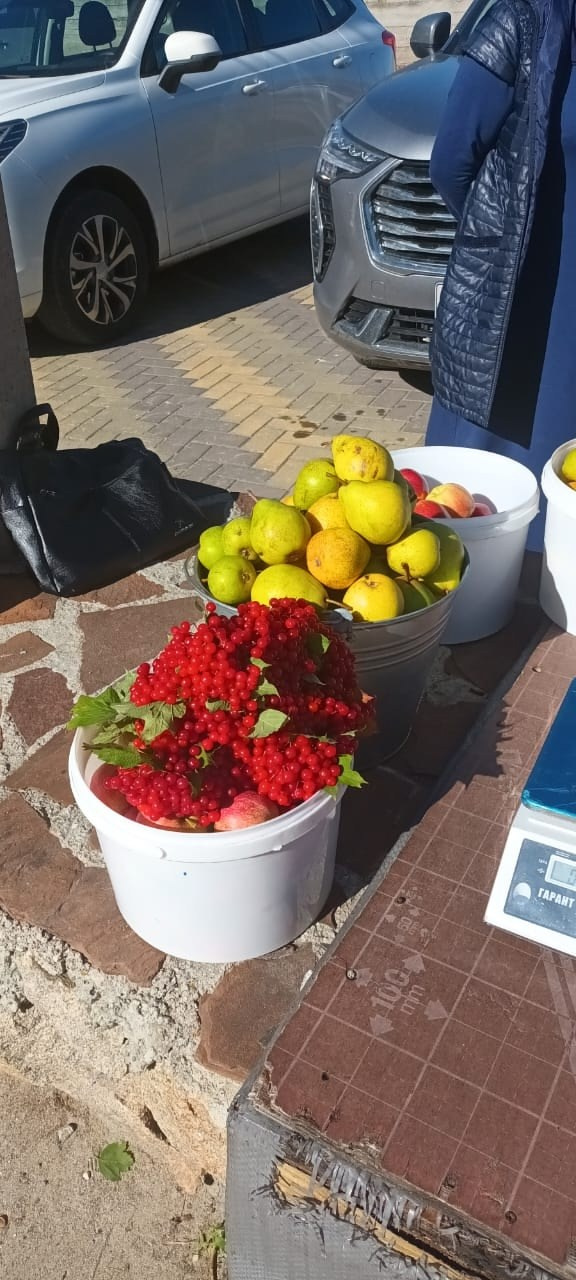 Кабардино-Балкария | 04-06.10.2024. Галерея Фантим