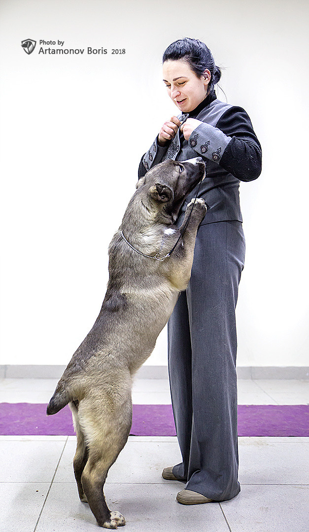 Борис Артамонов фотограф — анималист. Москва