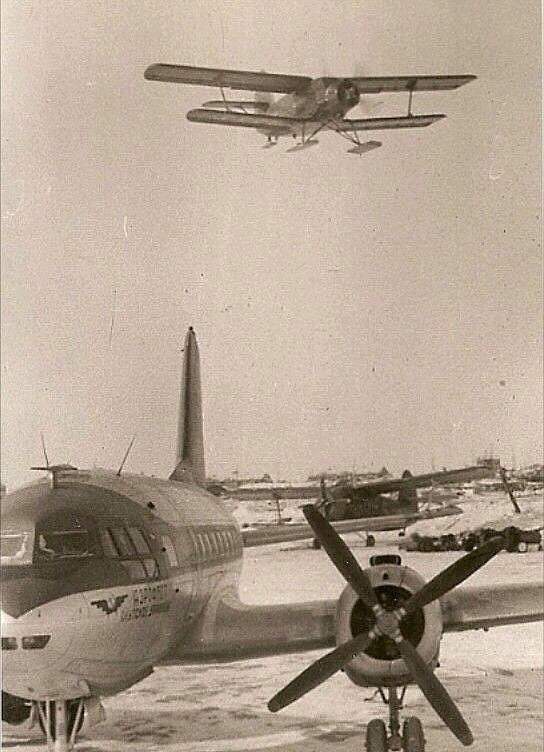 Исторические фотографии. Фотоальбом показывающий увлекательный мир авиации и мир медведей Андрея Иванова