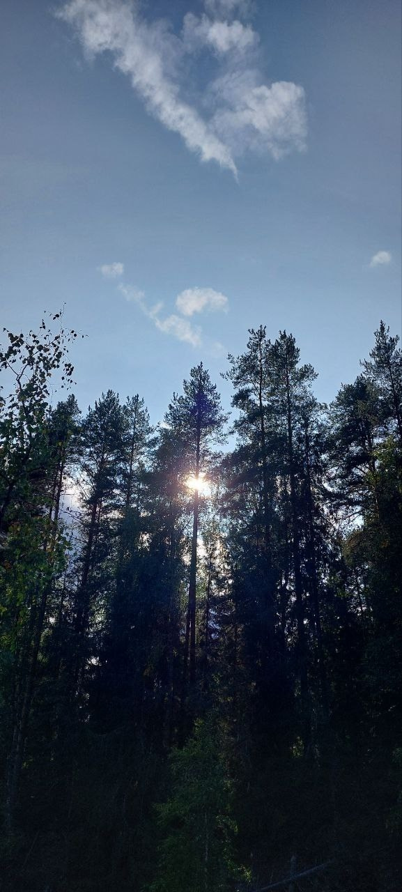 Карелия | 16-18.08.24. Галерея Фантим