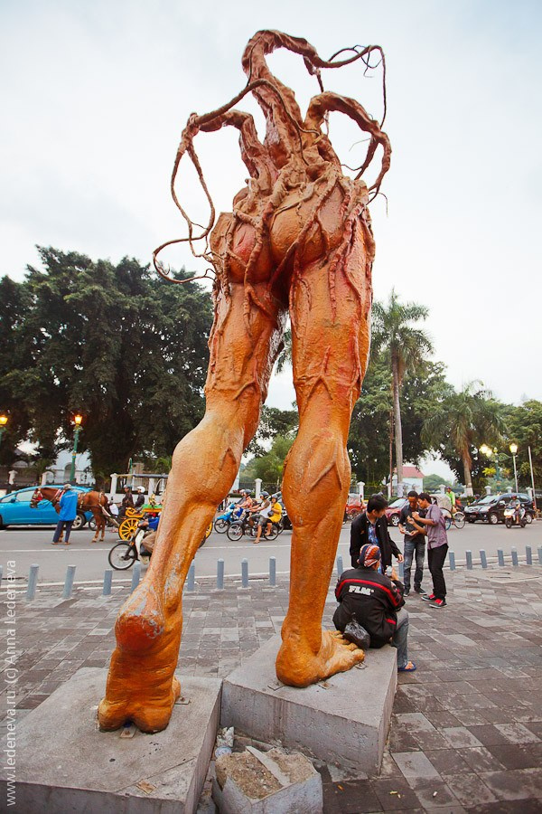 Ява, Индонезия. Анна Леденева Фотограф