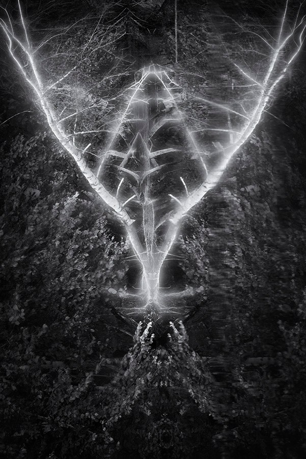 Phantoms. Aleksandr Leshchenok & Marina Ogneva|Interdisciplinary artists from Siberia