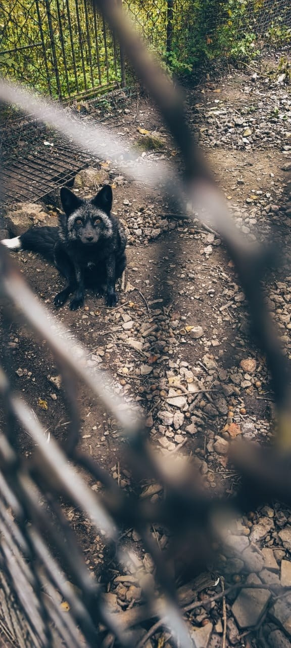 Владивосток 2 | 25-28.09.2025. Галерея Фантим