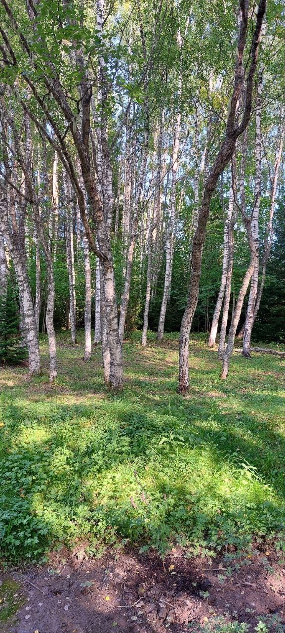 Карелия | 16-18.08.24. Галерея Фантим