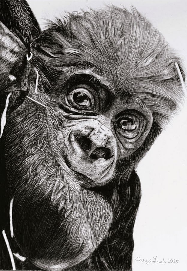 Финч Татьяна Николаевна. Галерея участников Российской Премии Искусств