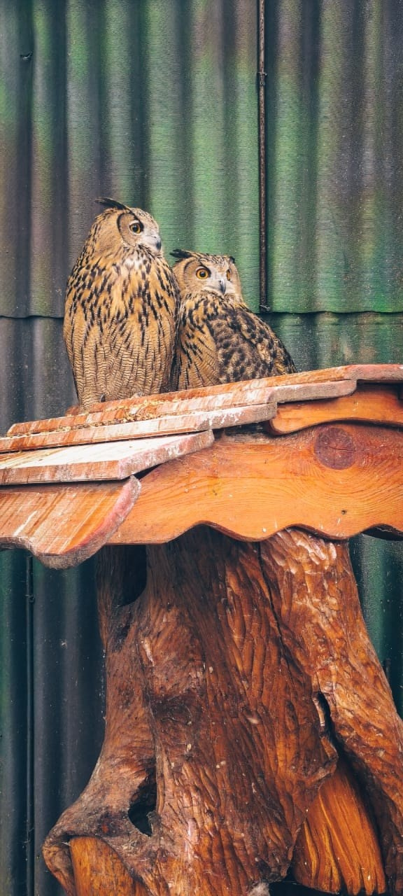 Владивосток 2 | 25-28.09.2025. Галерея Фантим