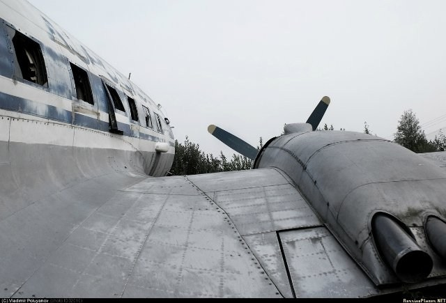Ил-14 (Пермь, Фролы). Фотоальбом показывающий увлекательный мир авиации и мир медведей Андрея Иванова