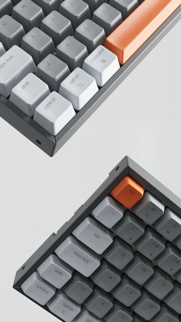 Electronics. Refraim