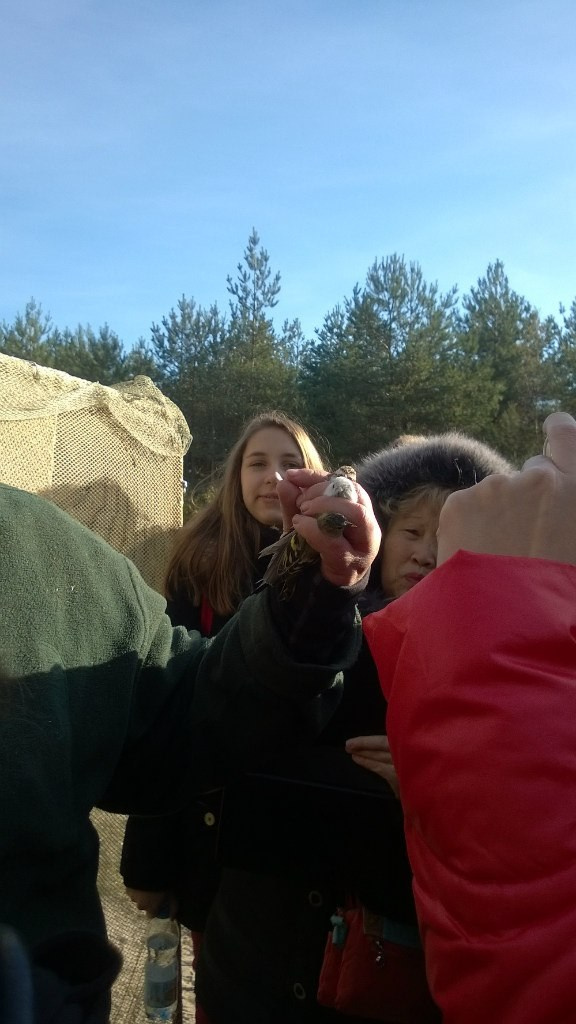 Калининград | 24-26.10.2014. Галерея Фантим