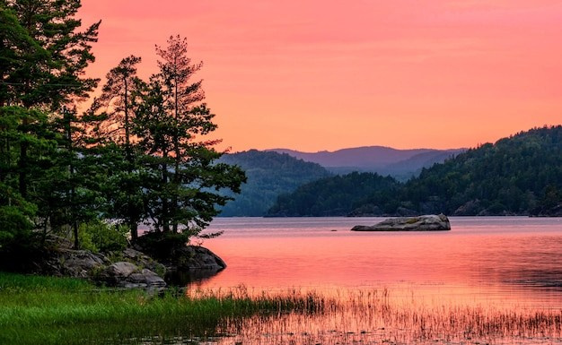 Осень. Brainlook