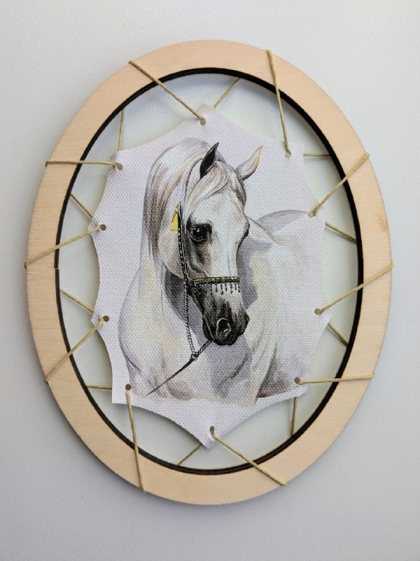 Лошади. Художник-анималист в Нижнем Новгороде Надежда Шапошникова