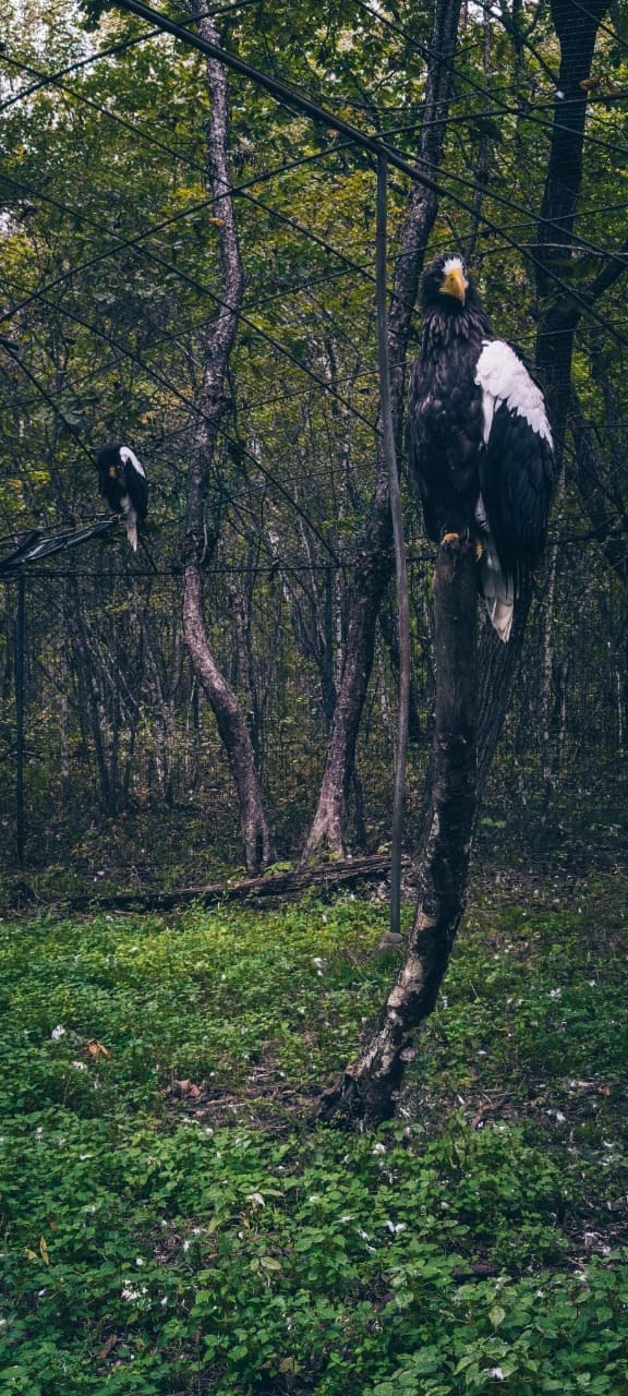 Владивосток 2 | 25-28.09.2025. Галерея Фантим