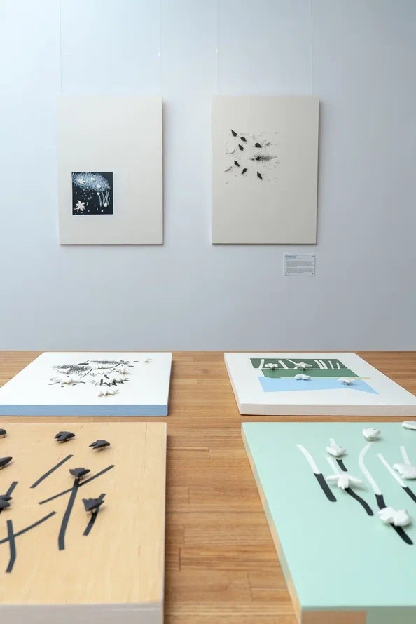 Серия интерактивных объектов ТО — НЕ ТО. Художник Ольга Папшева ЛИТПРИНТ / LITPRINT Саратов