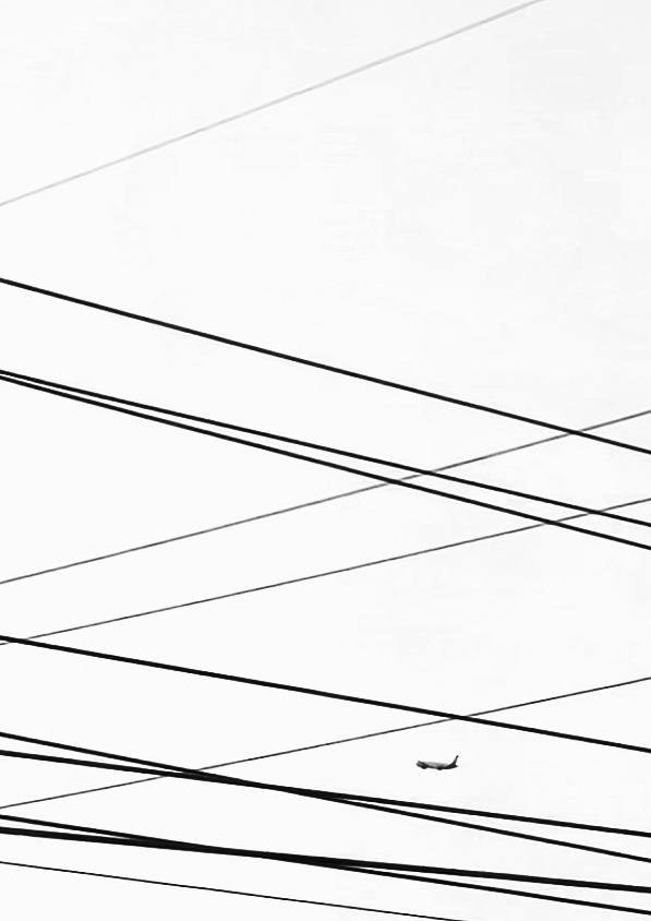 Геометрические фигуры. Светофография