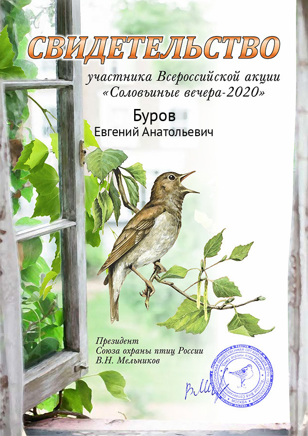 Конкурсы. Спортивный фотограф в Уфе Евгений Буров