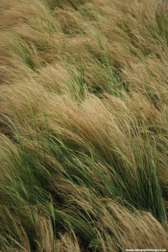 Фотосессия для бренда l.motive | Пиджак. Графический дизайнер AI в Москве Валерия Кос