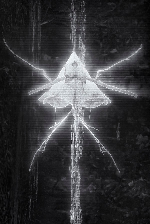 Phantoms. Aleksandr Leshchenok & Marina Ogneva|Interdisciplinary artists from Siberia