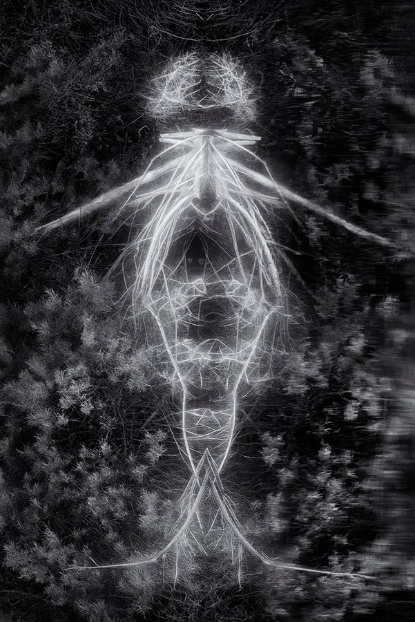 Phantoms. Aleksandr Leshchenok & Marina Ogneva|Interdisciplinary artists from Siberia