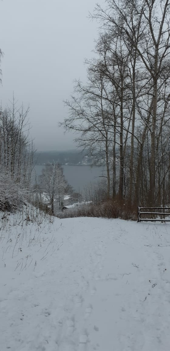 Иваново и Плёс | 21-22.11.2020. Галерея Фантим