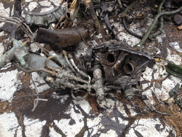 Ил-14 (Быково) — уничтожен. Фотоальбом показывающий увлекательный мир авиации и мир медведей Андрея Иванова