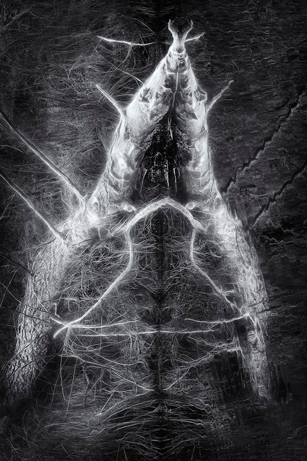 Phantoms. Aleksandr Leshchenok & Marina Ogneva|Interdisciplinary artists from Siberia