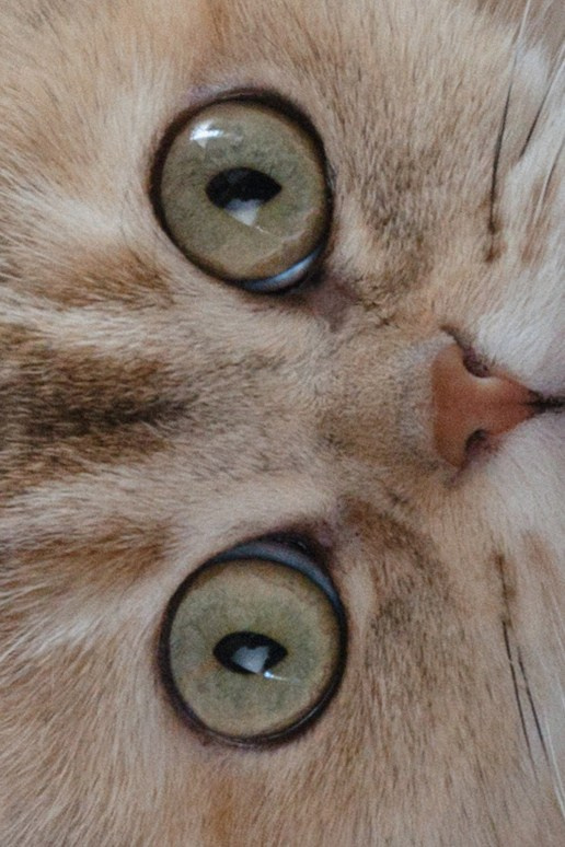 Иван и кристина