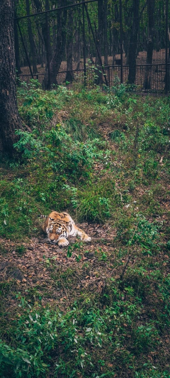 Владивосток 2 | 25-28.09.2025. Галерея Фантим