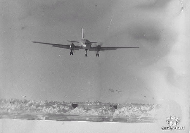 Исторические фотографии. Фотоальбом показывающий увлекательный мир авиации и мир медведей Андрея Иванова