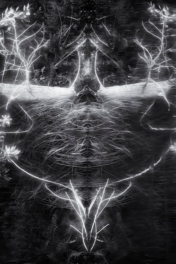 Phantoms. Aleksandr Leshchenok & Marina Ogneva|Interdisciplinary artists from Siberia