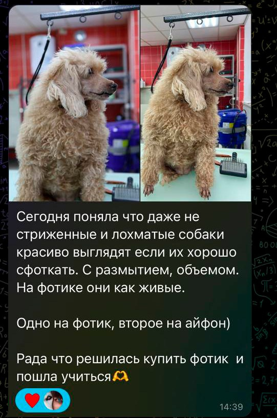 Курсы на фотографа-анималиста