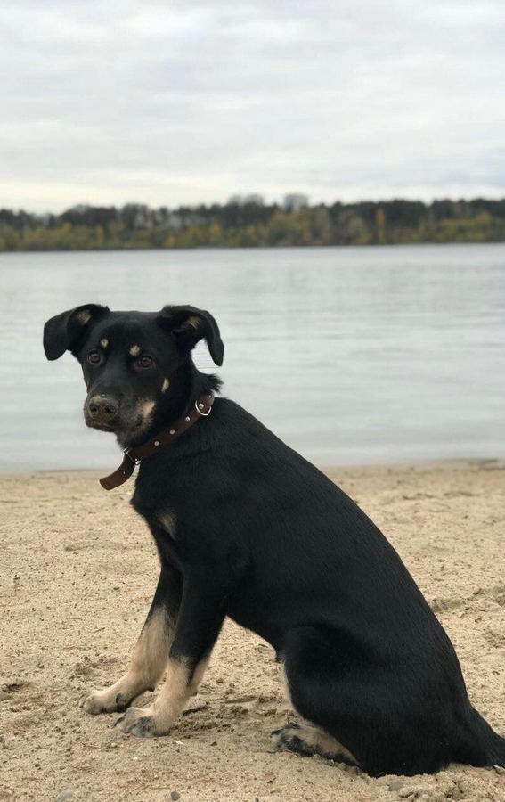 Супрун Антон Евгеньевич. Галерея участников Российской Премии Искусств