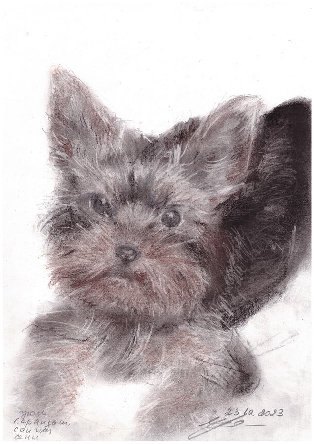 Косик Елена Владимировна. Галерея участников Российской Премии Искусств