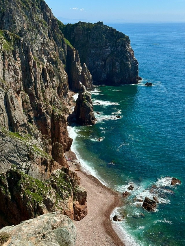 Обо мне. Фотограф-анималист в Краснодаре Маша Мельникова