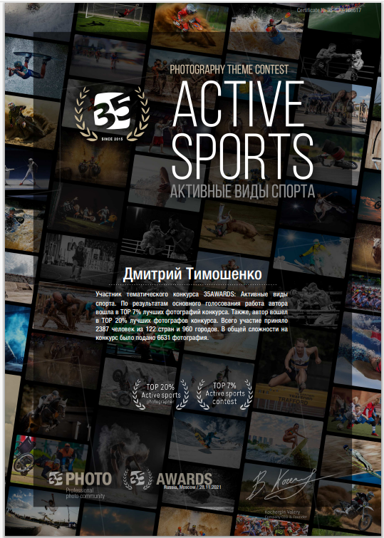 Мои награды и достижения. Фотограф в Москве Дмитрий Тимошенко