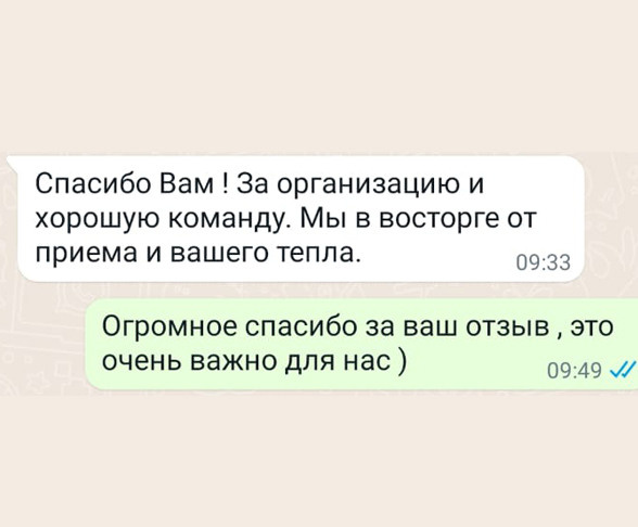 Катание на хаски в Спб