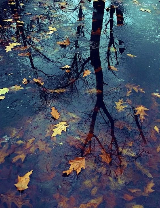 Композиция кадра. Семейный и свадебный фотограф в Майкопе Михаил Мартиросян