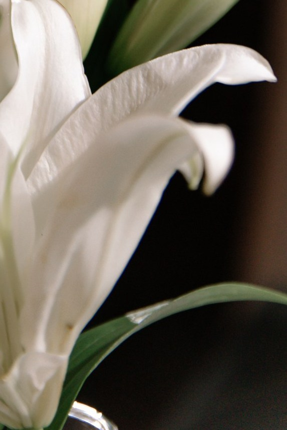 " Клянусь, она меня приворожила ". Свадебный фотограф Алина Хабарова